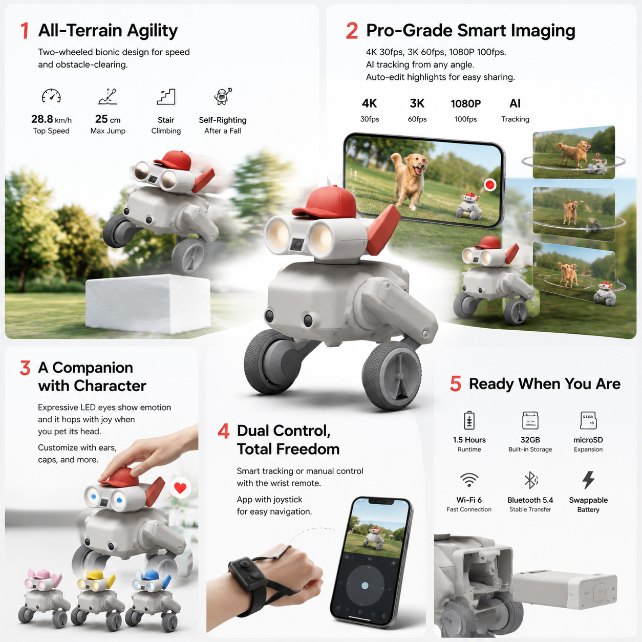 AuraBot R1 – All-Terrain Camera Companion